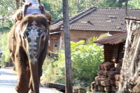 PICT1219.JPG