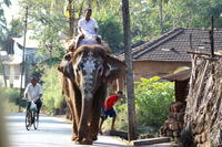 PICT1220.JPG