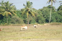 PICT1221.JPG