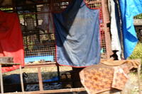 PICT1222.JPG