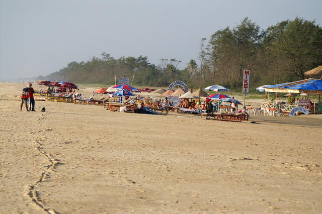 PICT1230.JPG