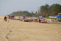 PICT1230.JPG