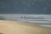 PICT1232.JPG