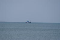 PICT0479.JPG