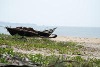 PICT0493.JPG