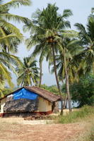 PICT0494.jpg