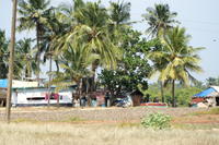 PICT0495.JPG