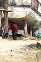 PICT0500.jpg