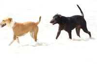 PICT0516.JPG