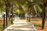 PICT0555.JPG