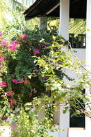 PICT0559.jpg