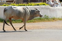 PICT0562.JPG