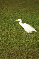 PICT0598.jpg