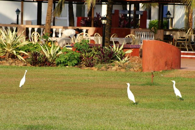 PICT0599.JPG