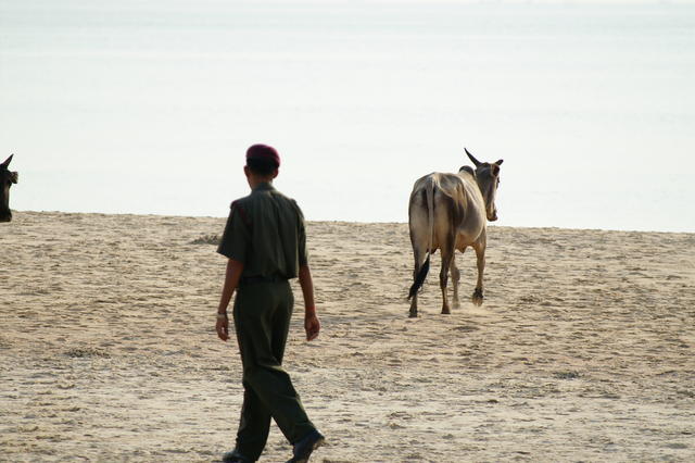 PICT0602.JPG