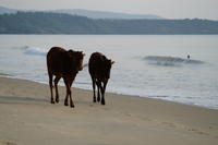 PICT0610.JPG