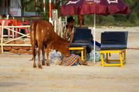 PICT0612.JPG