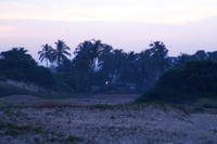 PICT0869.JPG