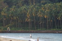 PICT0879.JPG
