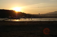 PICT0882.JPG