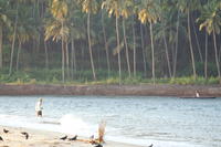PICT0886.JPG