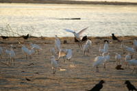 PICT0889.JPG