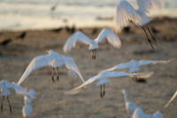 PICT0890.JPG