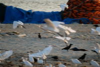 PICT0891.JPG
