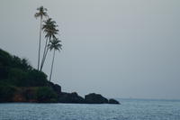 PICT0894.JPG