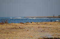 PICT0909.JPG