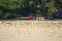 PICT0912.JPG
