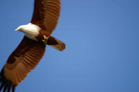 PICT0915.JPG