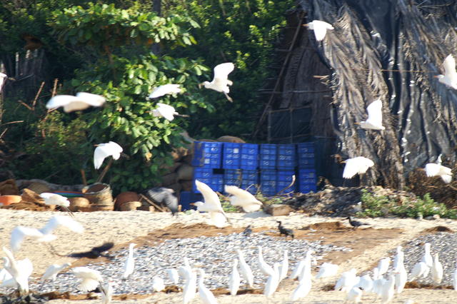 PICT0922.JPG