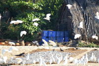 PICT0922.JPG