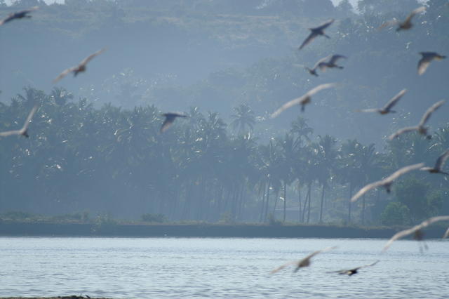 PICT0923.JPG