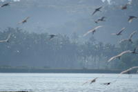 PICT0923.JPG
