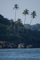 PICT0930.jpg