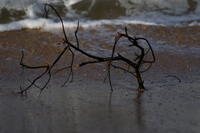 PICT0933.JPG