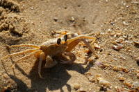 PICT0934.JPG