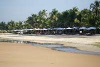 PICT0940.JPG