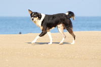 PICT0950.JPG