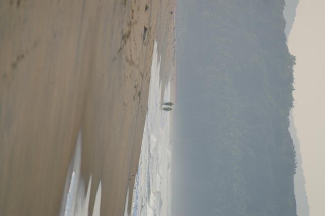 PICT0635.JPG