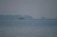 PICT0636.JPG