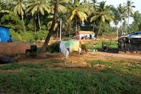 PICT0647.JPG