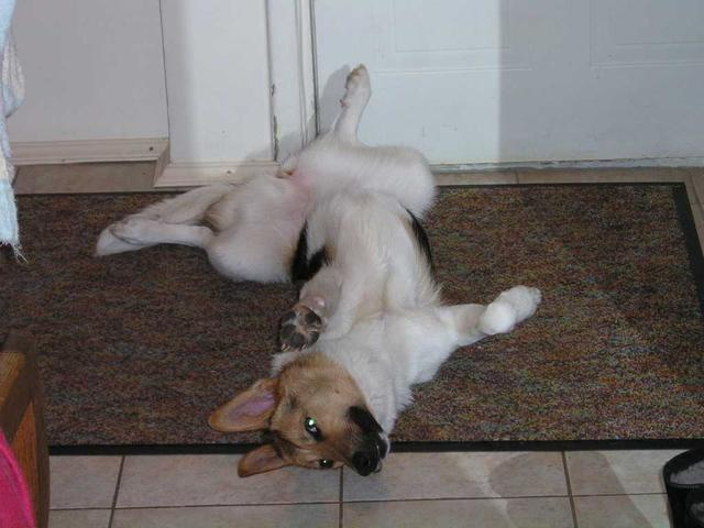 !5