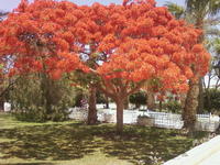 Photo-0034