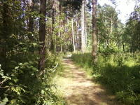 Photo-0077