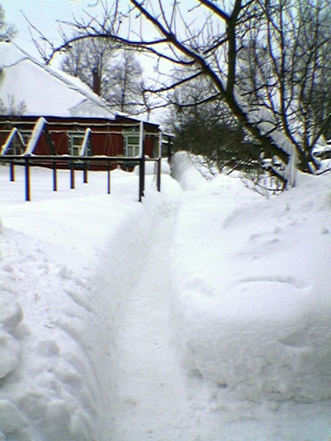 Снежное царство