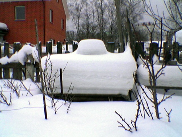 Уровень осадков - 50 сантиметров