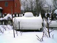 Уровень осадков - 50 сантиметров